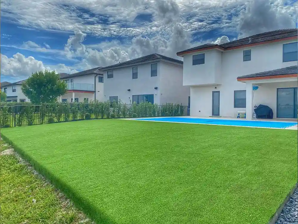 Open lawn in full sun